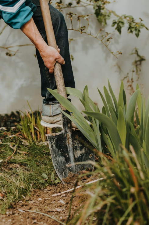 Nettoyage de jardin en fin d’hiver – HH Jardins